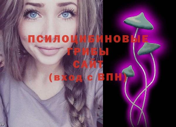 эйфоретик Валуйки