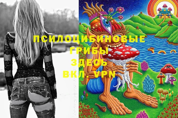 мдпв Сафоново