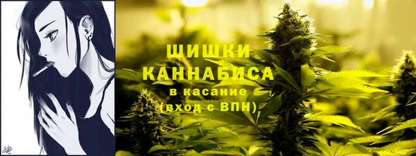 сатива Семикаракорск