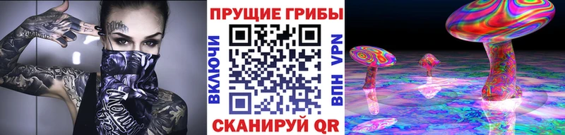 Псилоцибиновые грибы Psilocybe  Семёнов 